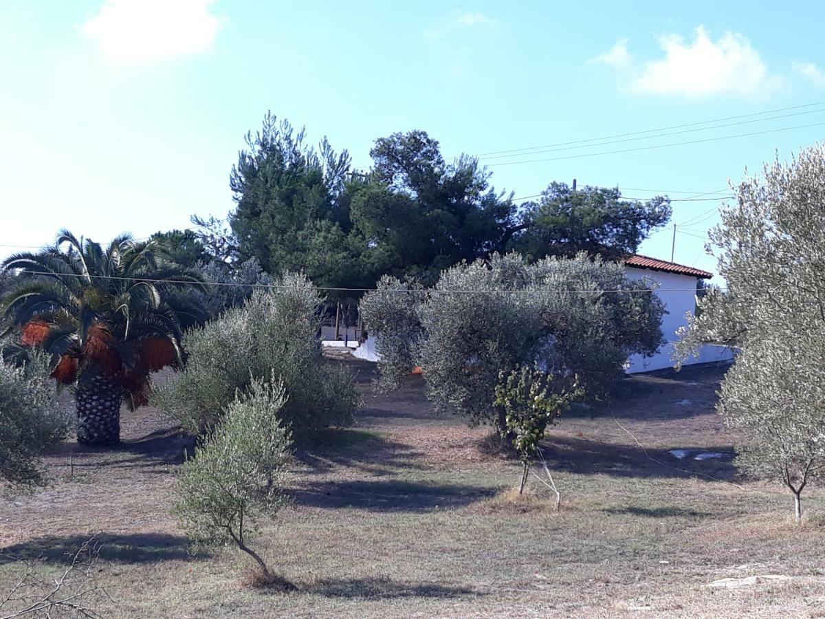 House lagonisi Ormos Panagias Extérieur photo